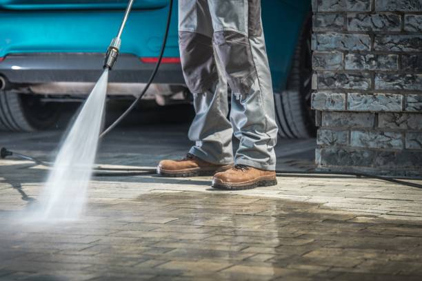 Best Sidewalk and Walkway Cleaning  in Versailles, IN