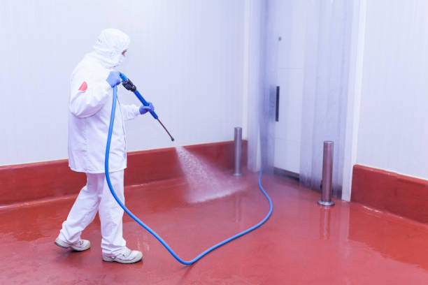 Best Warehouse Cleaning  in Versailles, IN