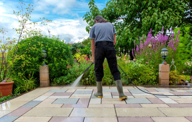 Best Winterizing Services  in Versailles, IN